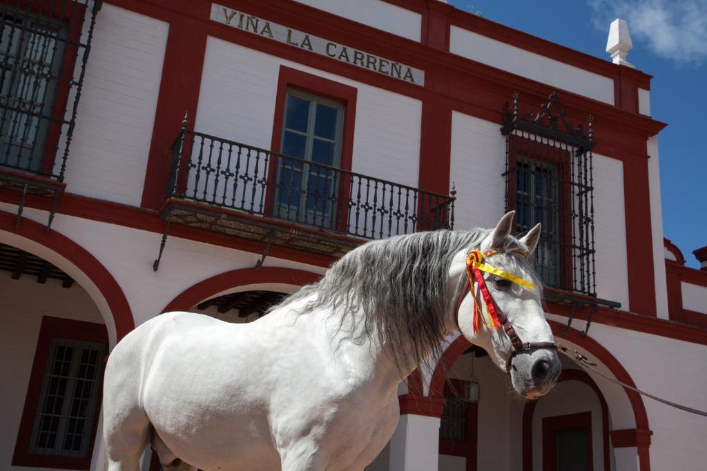 Hotel La Carrena Jerez de la Frontera Pokój zdjęcie